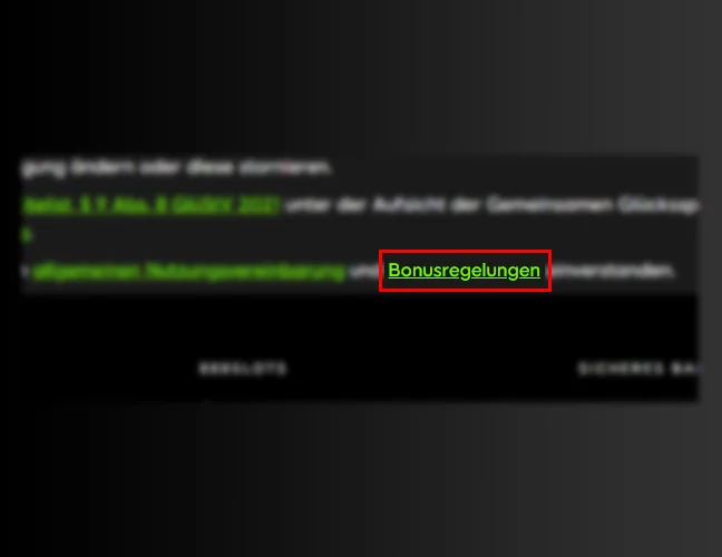 Schritt 5 — Bonusbedingungen lesen:
