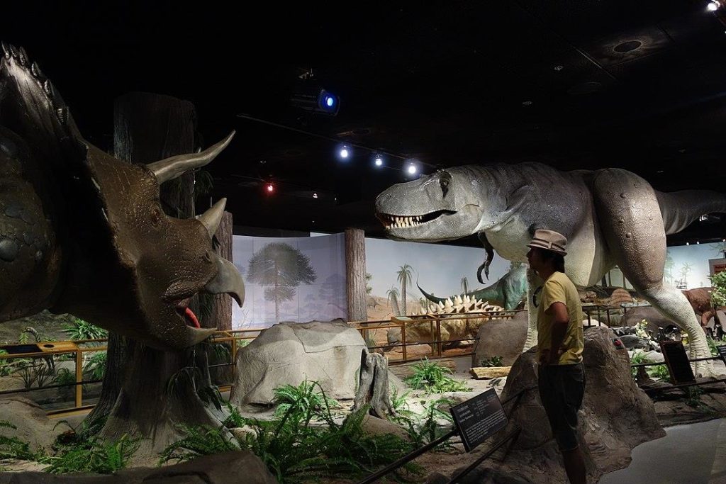 Naturhistorisches Museum Las Vegas