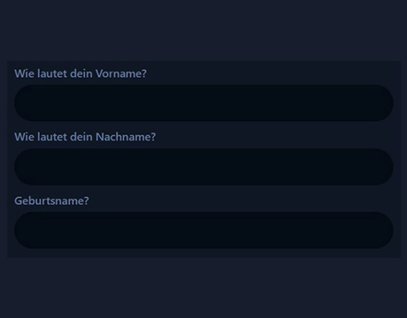Vornamen, Nachnamen und Geburtsnamen eintragen: