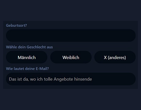 Geburtsort, Geschlecht und E-Mail-Adresse ergänzen: