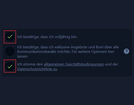 AGB bestätigen und Volljährigkeit versichern: