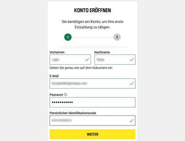 Persönliche Daten eingeben: